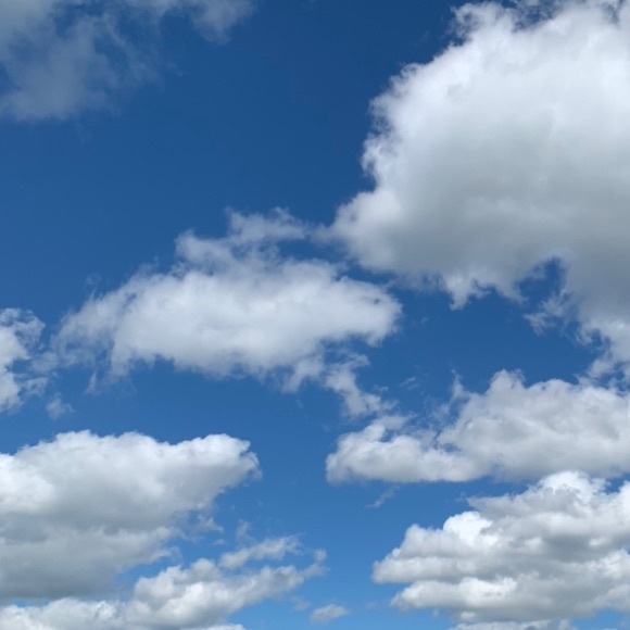 Meet your Posher, Jess - Picture 1 of 1